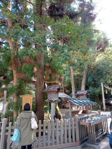 miwa006.jpg
